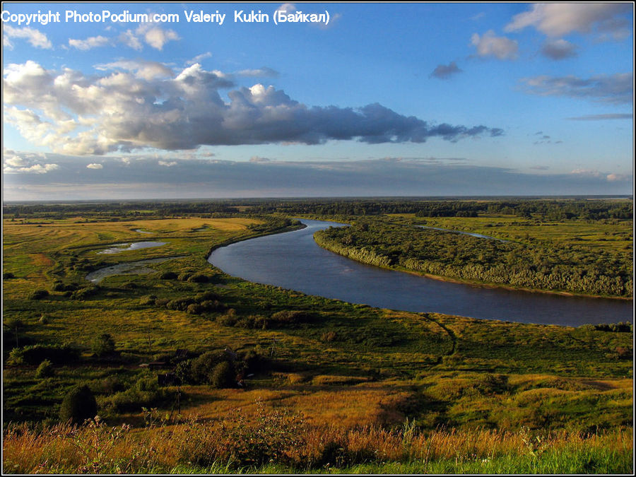 Field, Grass, Grassland, Land, Outdoors, Marsh, Pond