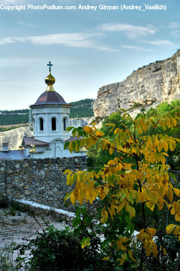 Architecture, Bell Tower, Clock Tower, Tower, Plant, Vine, Church