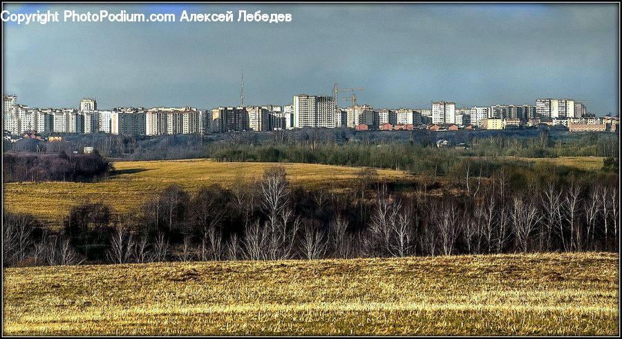 Field, Grass, Grassland, Land, Outdoors, Plant, City