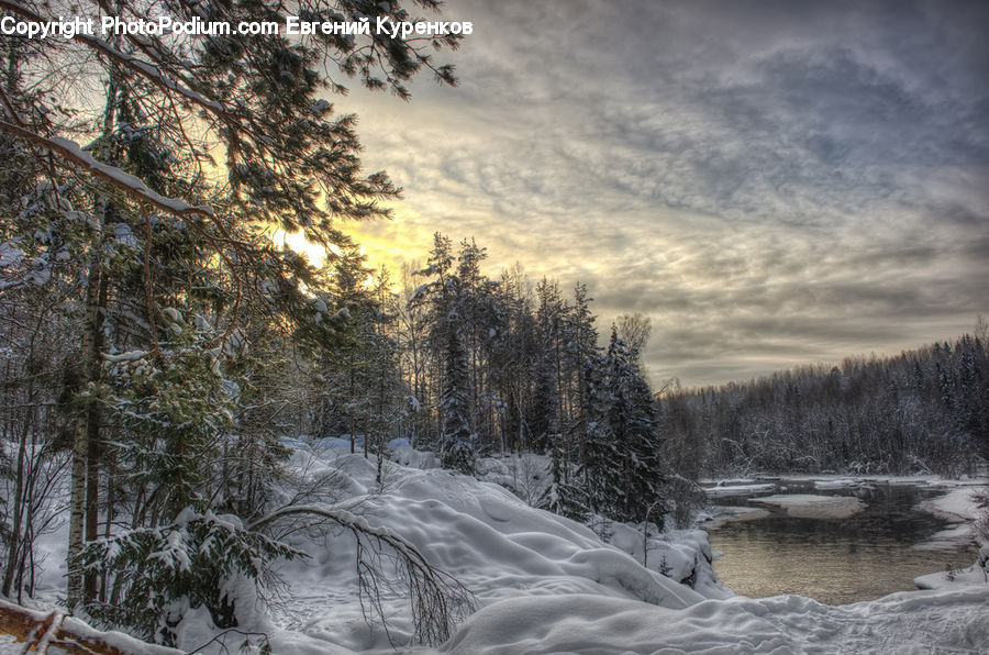 Ice, Outdoors, Snow, Flood, Forest, Vegetation, Landscape