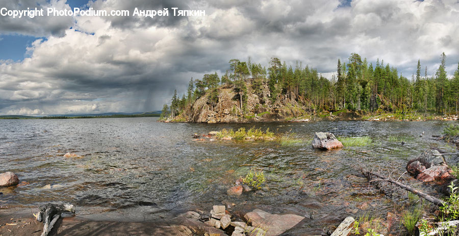 Rock, Rubble, Landscape, Nature, Scenery, Plant, Vegetation
