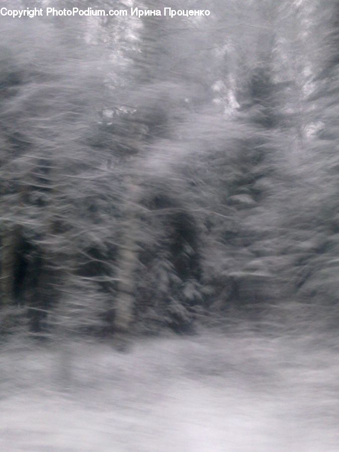 Blizzard, Outdoors, Snow, Weather, Winter