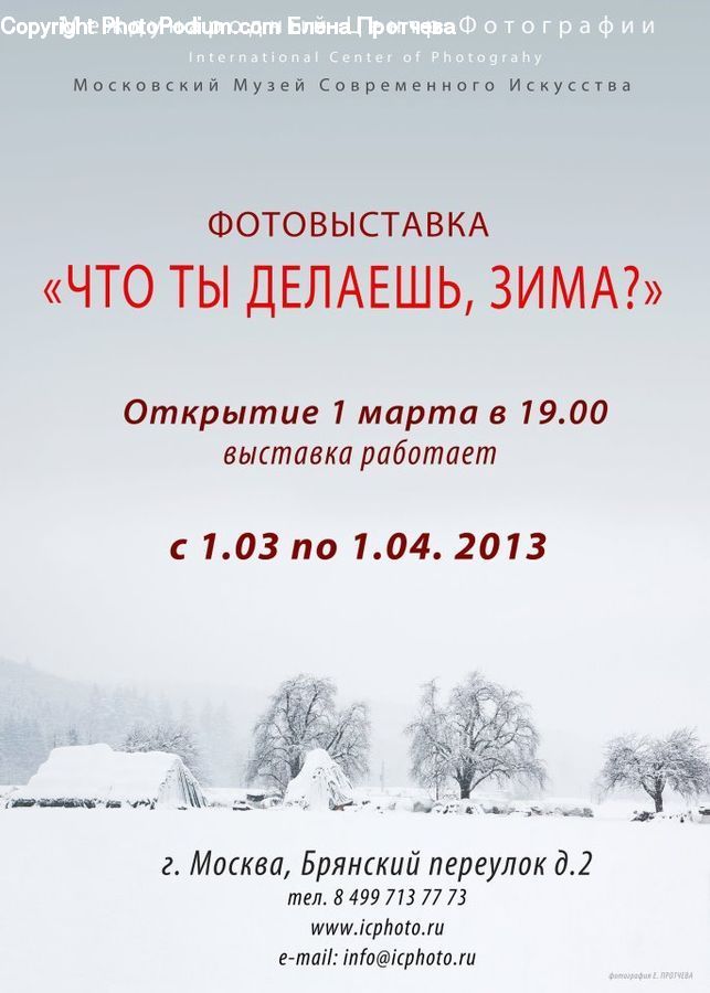 Brochure, Flyer, Poster, Ice, Outdoors, Snow, Paper