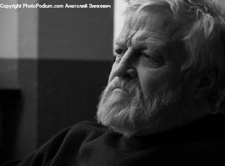 Person, Portrait, Face