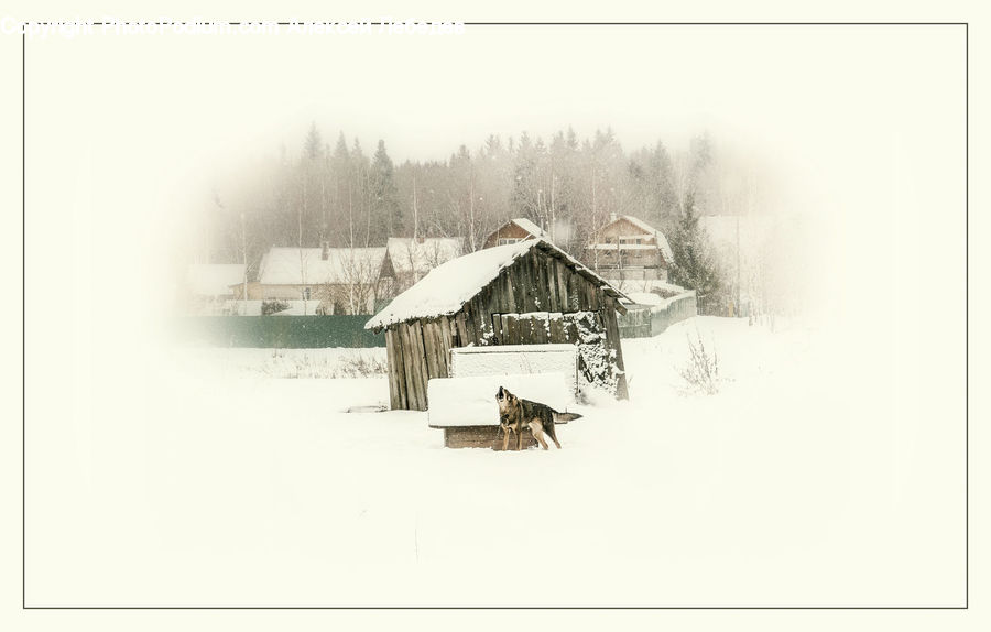 Ice, Outdoors, Snow, Building, Cottage, Housing