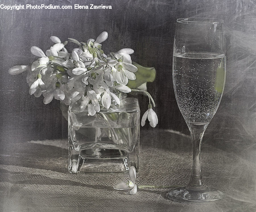 Glass, Jar, Porcelain, Vase, Plant, Potted Plant, Goblet