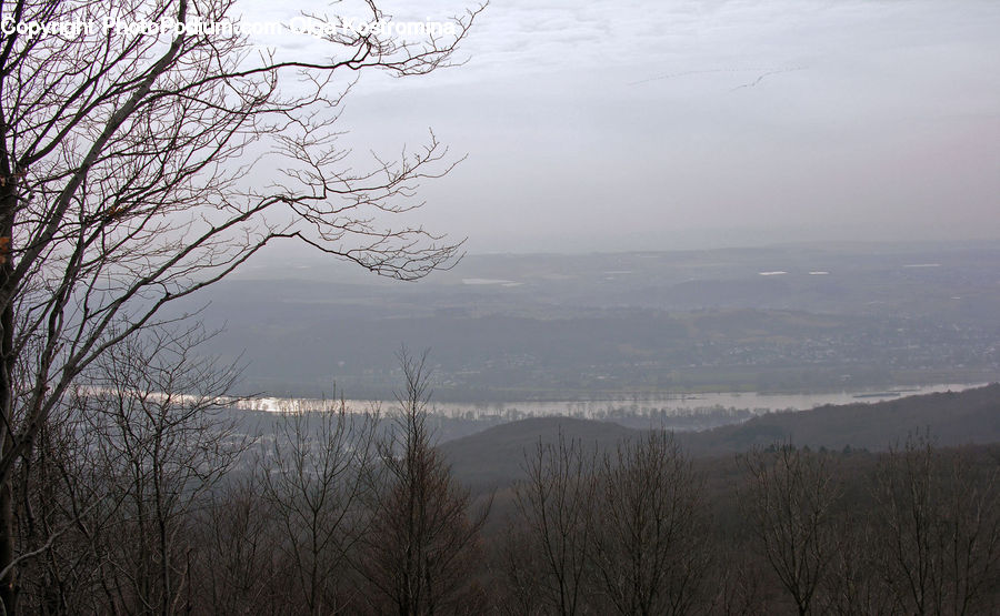 Fog, Mist, Outdoors, Dawn, Dusk, Sky, Sunrise