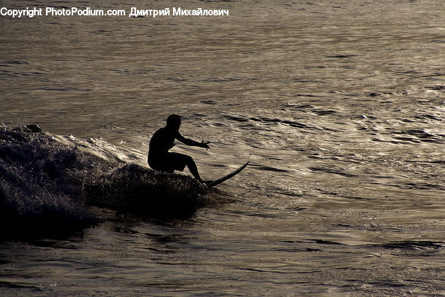 Bird, Cormorant, Waterfowl, Silhouette, Leisure Activities, Water