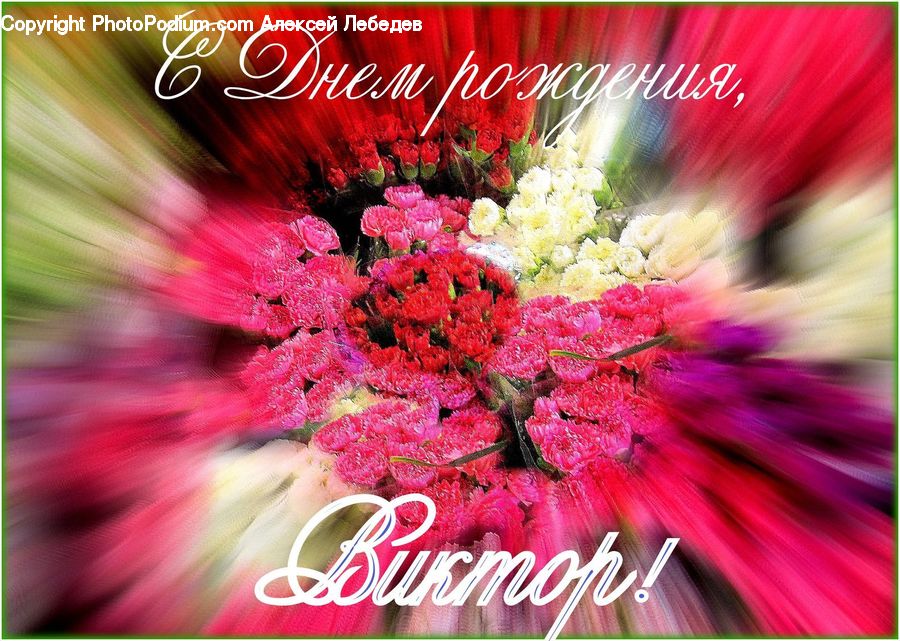Brochure, Flyer, Poster, Art, Collage, Flower, Flower Arrangement