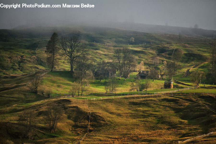 Countryside, Outdoors, Field, Grass, Grassland, Land, Dirt Road