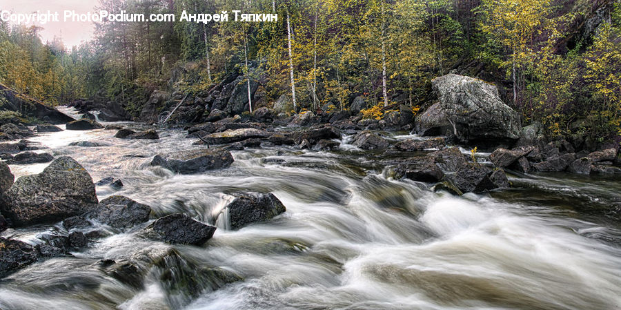 Creek, Outdoors, River, Water, Rock, Forest, Jungle