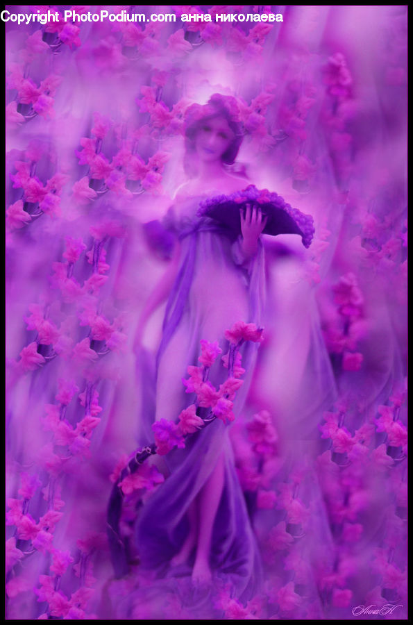 People, Person, Human, Blossom, Carnation, Flower, Plant