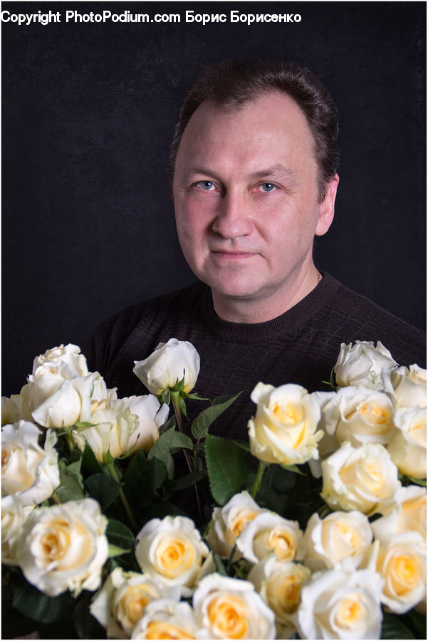 People, Person, Human, Blossom, Flower, Plant, Rose