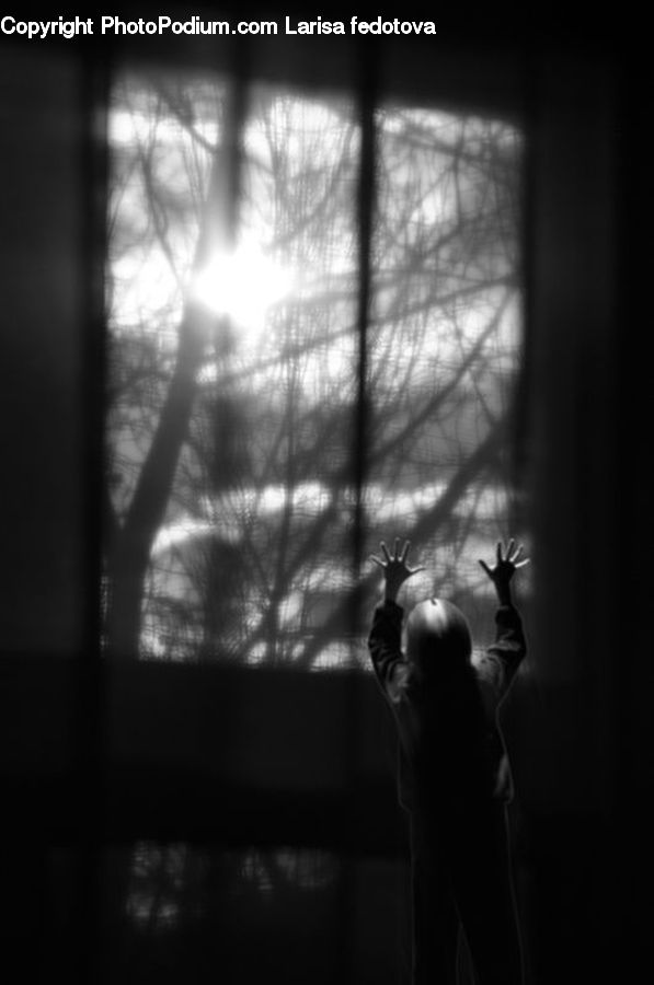 Silhouette, Person, Portrait, Flare, Light, Sunlight