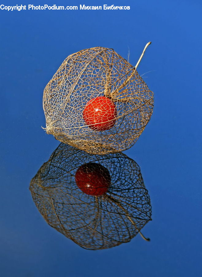 Accessories, Bling, Brooch, Jewelry, Pin