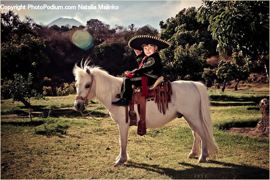 Animal, Horse, Mammal, People, Person, Human, Equestrian