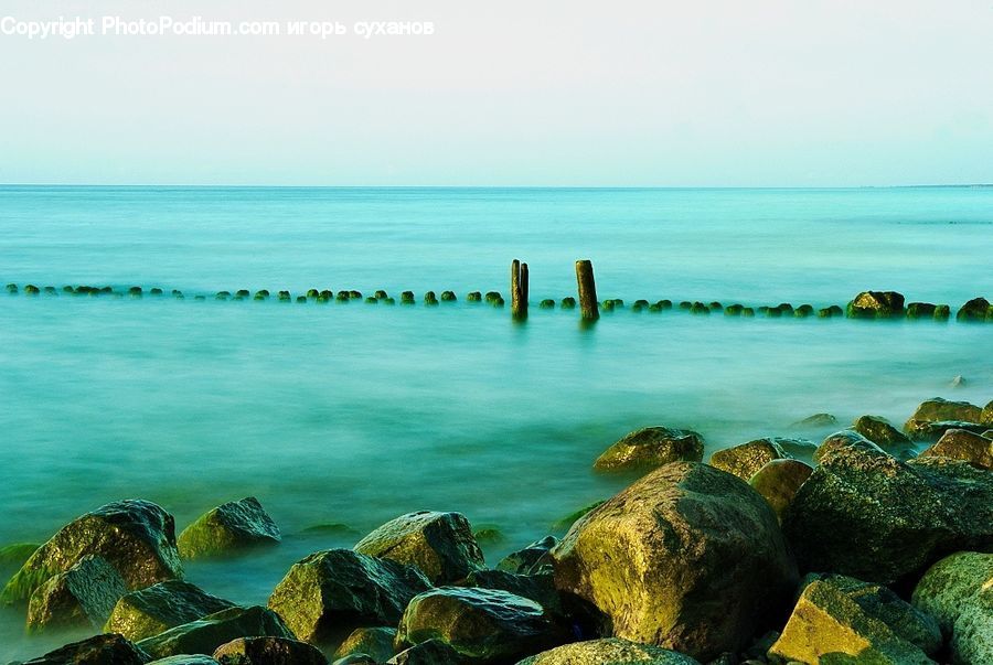 Beach, Coast, Outdoors, Sea, Water, Algae, Rock