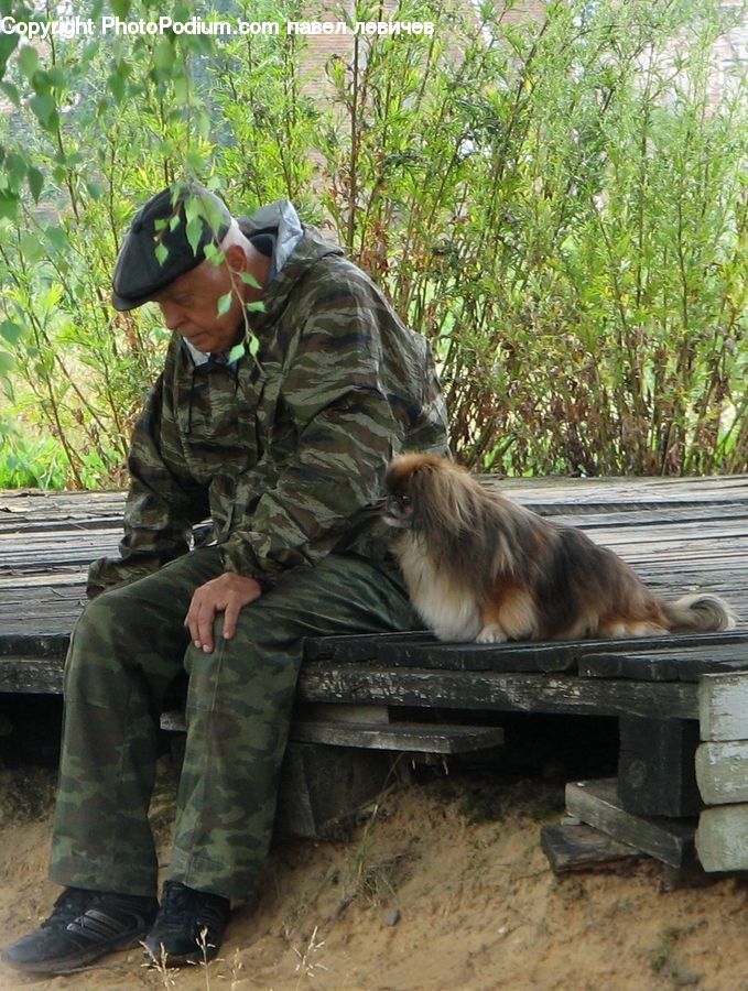 People, Person, Human, Park Bench, Bench, Army, Military