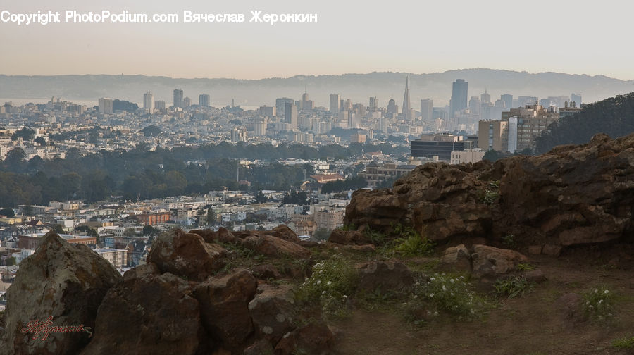 Aerial View, Plant, Potted Plant, City, Downtown, Rock, Landslide