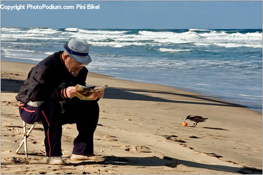 Human, People, Person, Beach, Coast, Outdoors, Sea