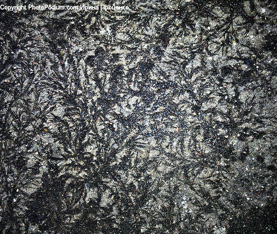 Pavement, Field, Grass, Grassland, Plant, Blossom, Flora