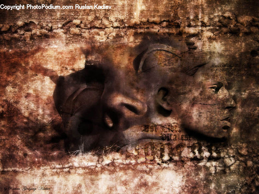 Animal, Boar, Mammal, Warthog, Face