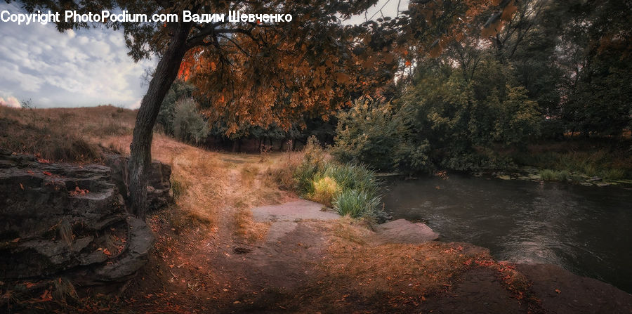 Dirt Road, Gravel, Road, Creek, Outdoors, River, Water