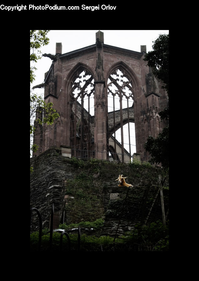 Brick, Ruins, Architecture, Bell Tower, Clock Tower, Tower, Bench