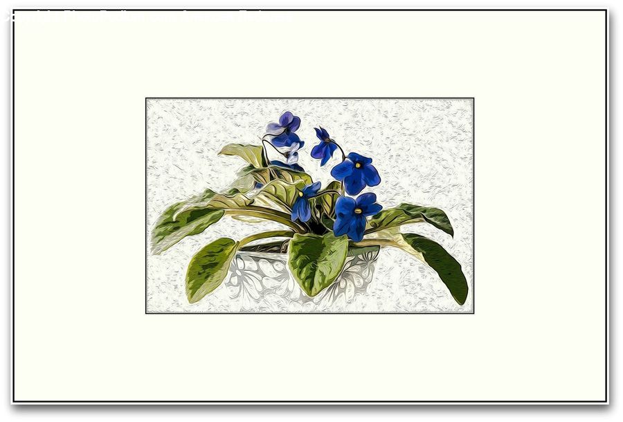 Art, Modern Art, Painting, Blossom, Flora, Flower, Plant