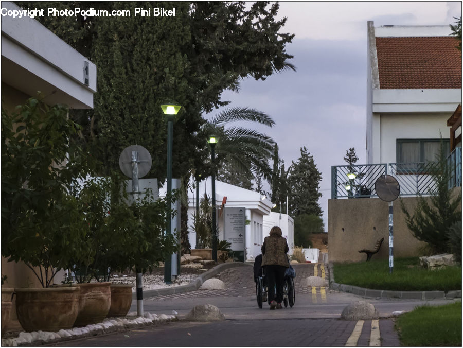People, Person, Human, Plant, Potted Plant, Building, Housing