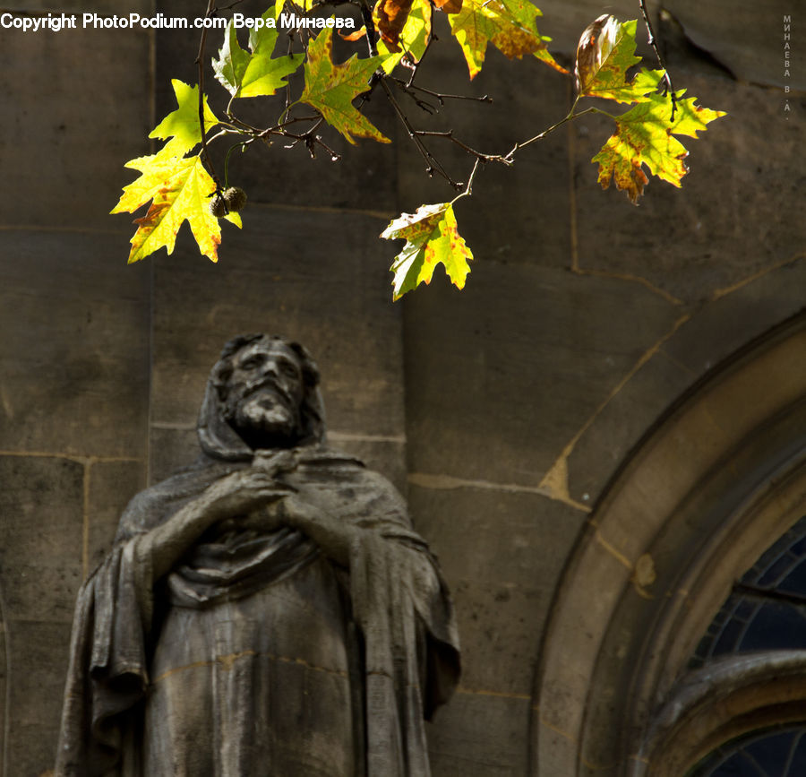 Art, Gargoyle, Statue, Maple, Maple Leaf, Plant, Sculpture
