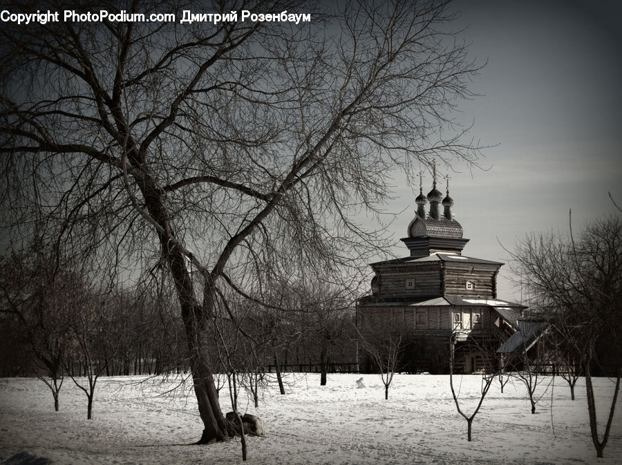Ice, Outdoors, Snow, Architecture, Pagoda, Shrine, Temple
