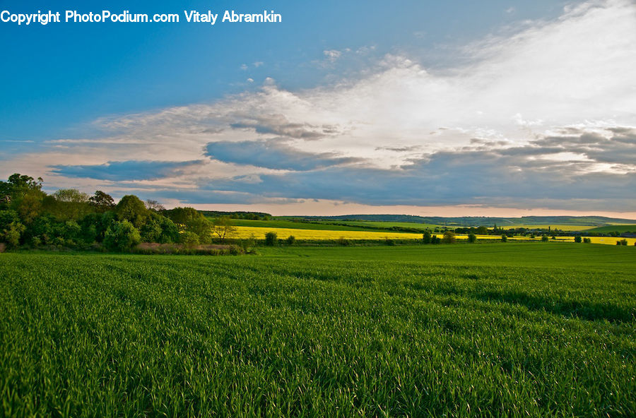 Countryside, Field, Grass, Grassland, Paddy Field, Land, Outdoors
