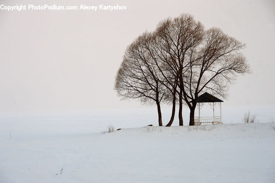 Landscape, Nature, Scenery, Blizzard, Outdoors, Snow, Weather