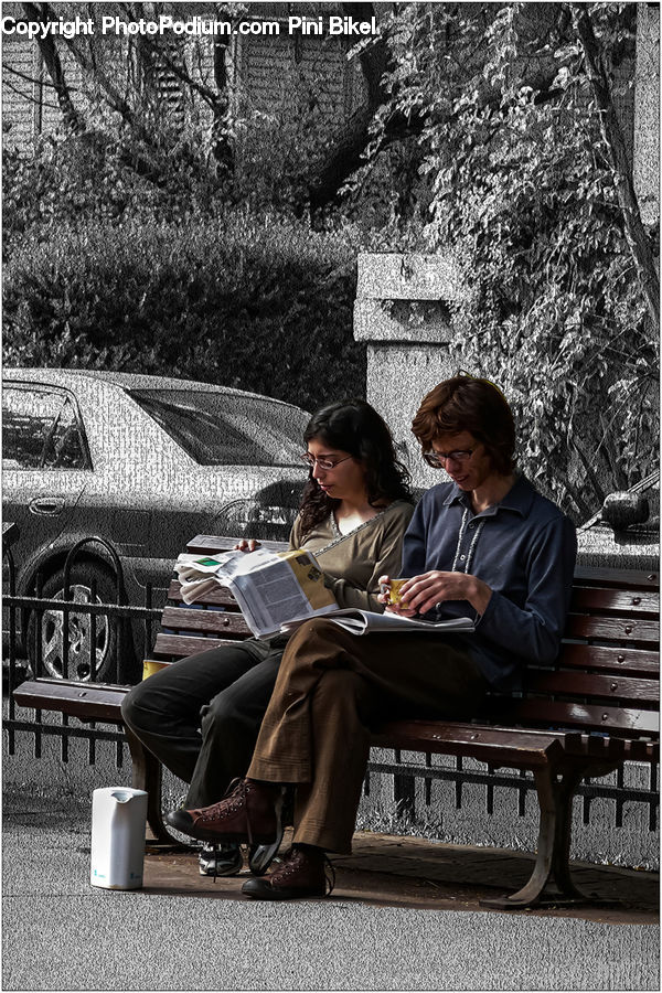 People, Person, Human, Bench, Computer, Electronics, LCD Screen