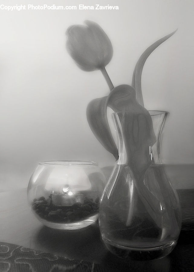 Jar, Porcelain, Vase, Blossom, Flora, Flower, Plant