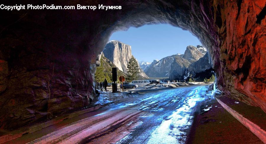 Cave, Tunnel, Fir, Redwood, Tree, Wood, Water