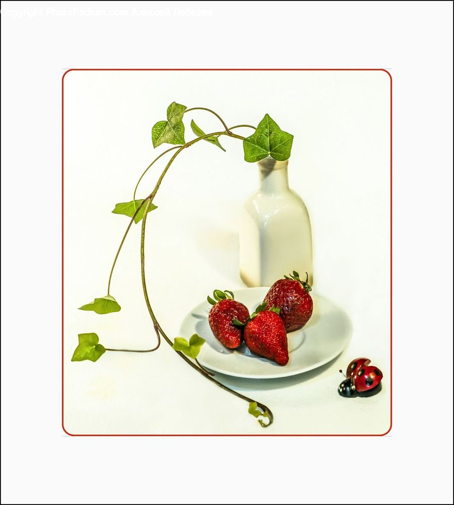 Fruit, Strawberry, Dish, Food, Plate, Dessert, Label