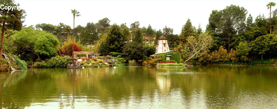 Building, Cottage, Housing, Outdoors, Pond, Water, Forest
