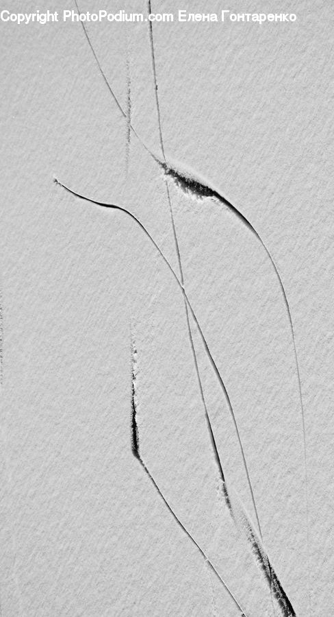 Drawing, Sketch, Paper, Grass, Plant, Reed
