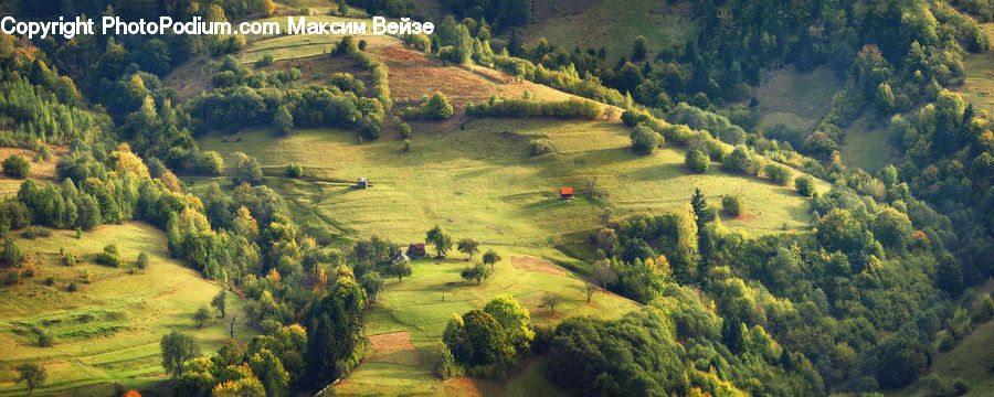 Grassland, Mound, Dirt Road, Gravel, Road, Field, Grass