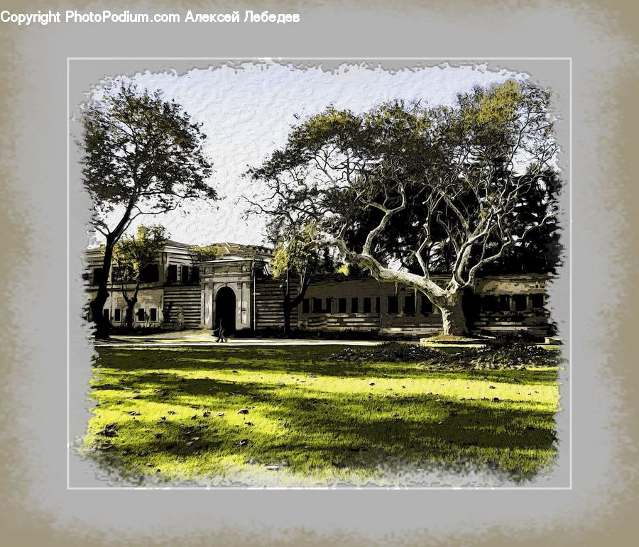 Building, Housing, Villa, Tomb, Architecture, Mansion, Plant