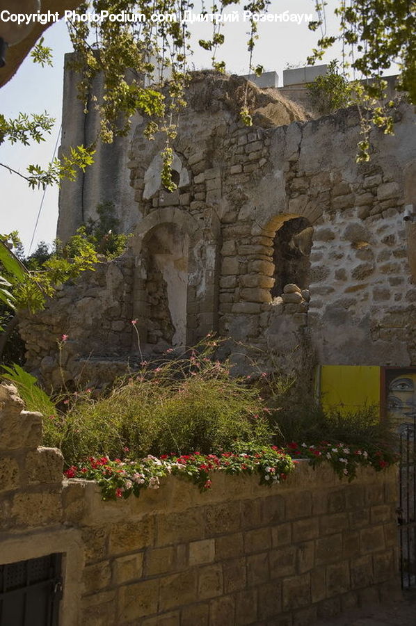 Plant, Potted Plant, Rock, Cliff, Outdoors, Arch, Fence