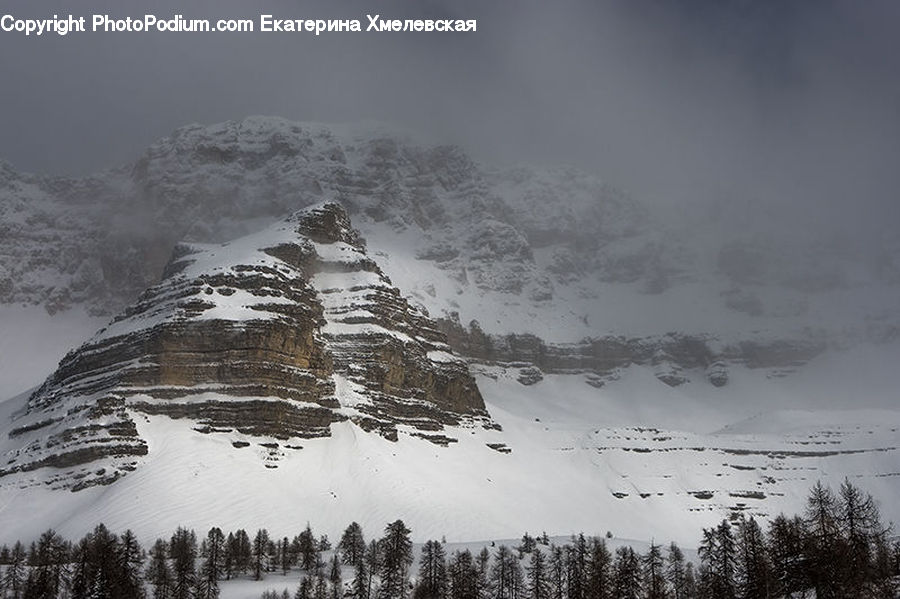 Alps, Crest, Mountain, Peak, Conifer, Fir, Plant