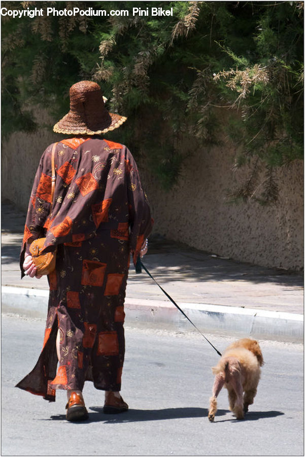 People, Person, Human, Animal, Chow, Dog, Pet