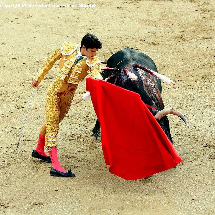 People, Person, Human, Bullfighter, Bullfighting, Bull
