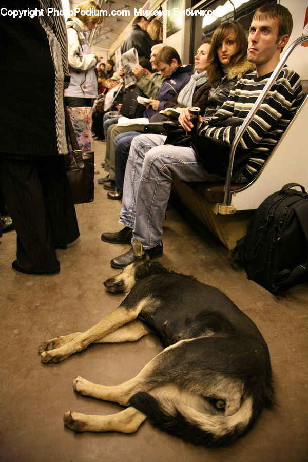 People, Person, Human, Luggage, Suitcase, Apparel, Clothing
