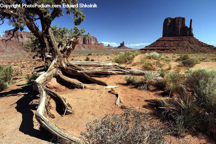 Desert, Outdoors, Field, Grass, Grassland, Plant, Ruins