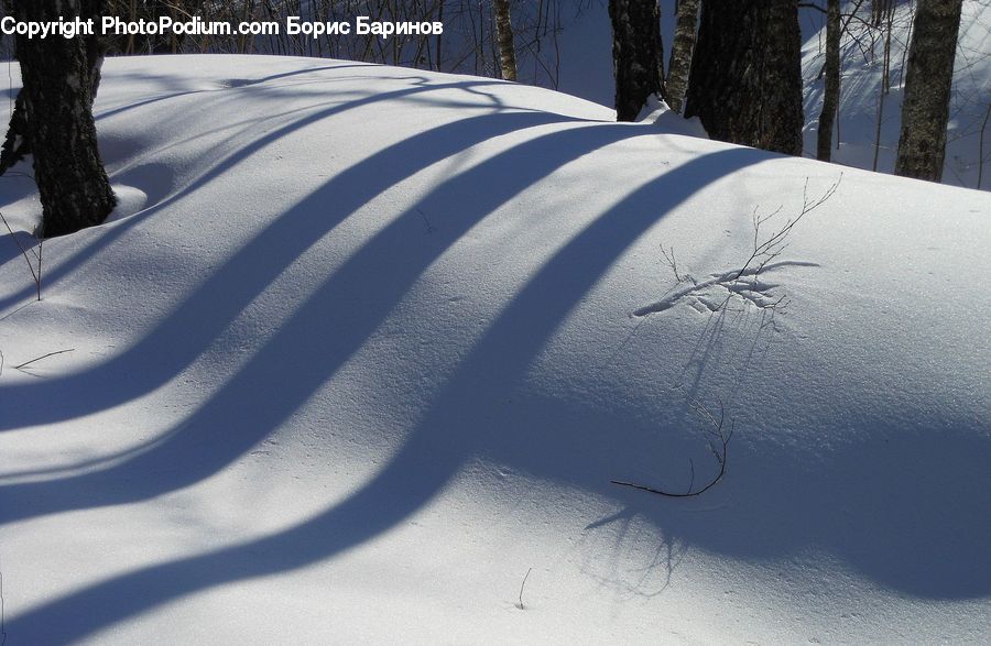 People, Person, Human, Ice, Outdoors, Snow, Plant
