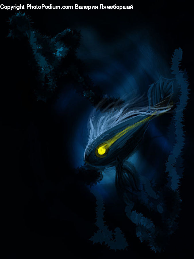 Fish, Sea Life, Surgeonfish